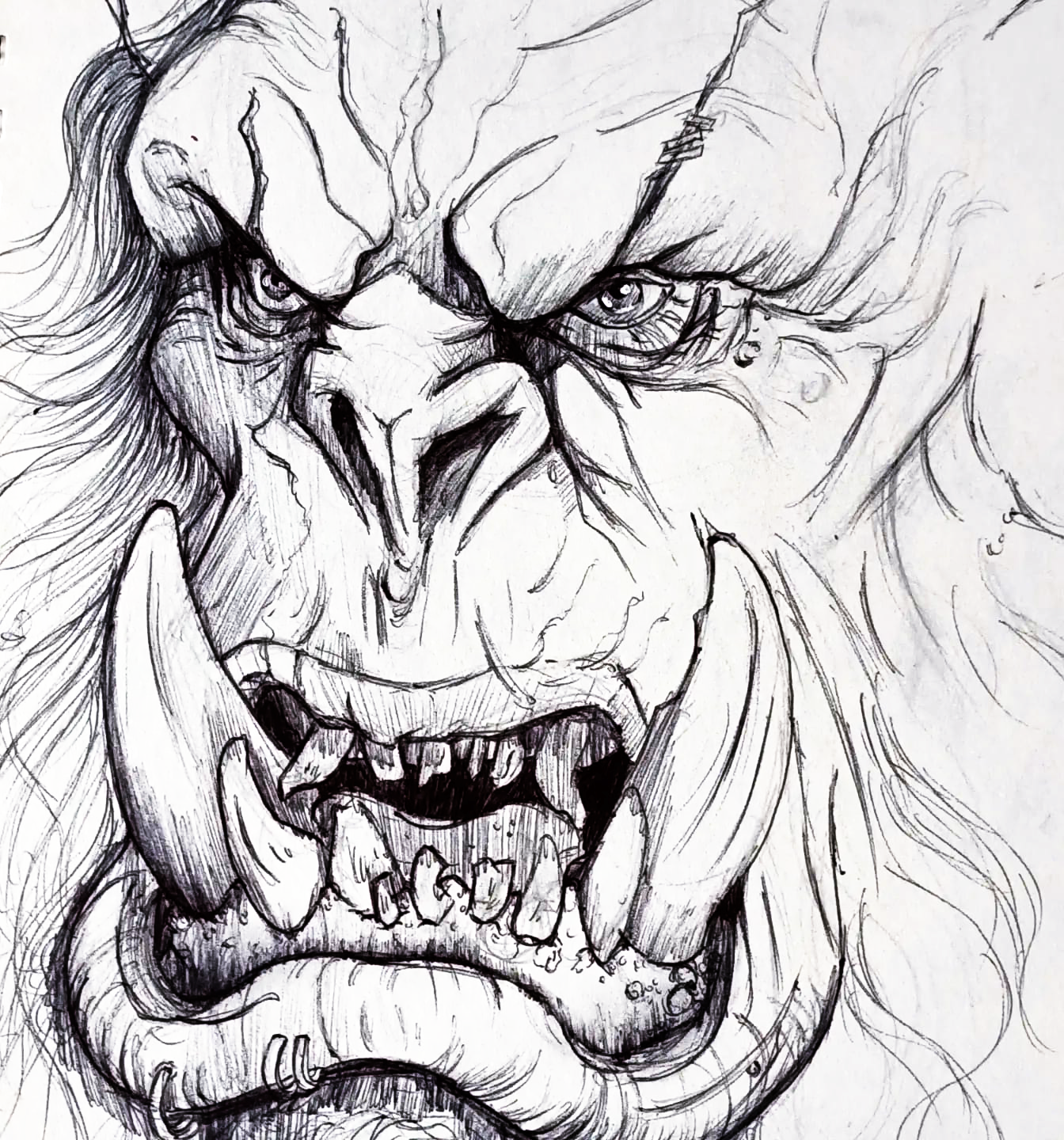Tusked beast face study in ballpoint pen